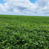 Ver anúncio COD ref#1347