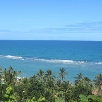 Ver anúncio COD ref#1359