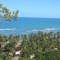 Ver anúncio COD ref#1359