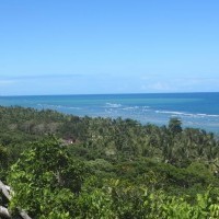 Ver anúncio COD ref#1359