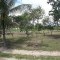 Foto ﾹ16 Fazenda/Sítio Venda em Bahia, Porto Seguro, Agrovila