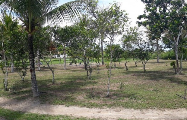 Foto ﾹ16 Fazenda/Sítio Venda em Bahia, Porto Seguro, Agrovila