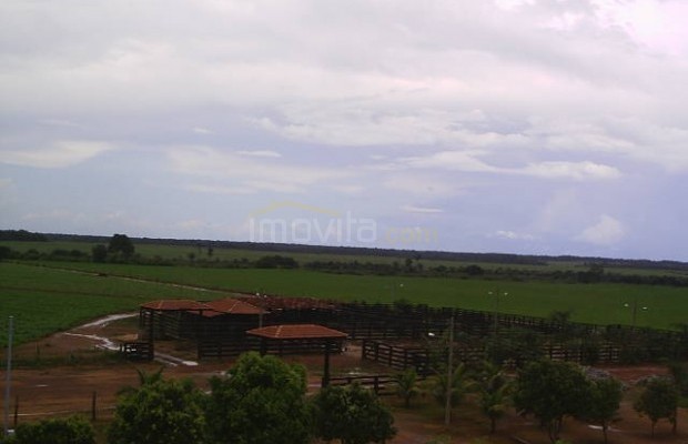 Foto ﾹ6 Fazenda/Sítio Venda em Tocantins, Vale do Rio Formoso, Vale do Rio Formoso