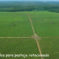 Ver anúncio COD ref#1371