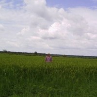 Ver anúncio COD ref#1371