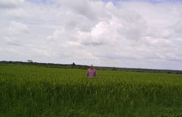 Foto ﾹ7 Fazenda/Sítio Venda em Tocantins, Vale do Rio Formoso, Vale do Rio Formoso