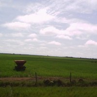 Ver anúncio COD ref#1371