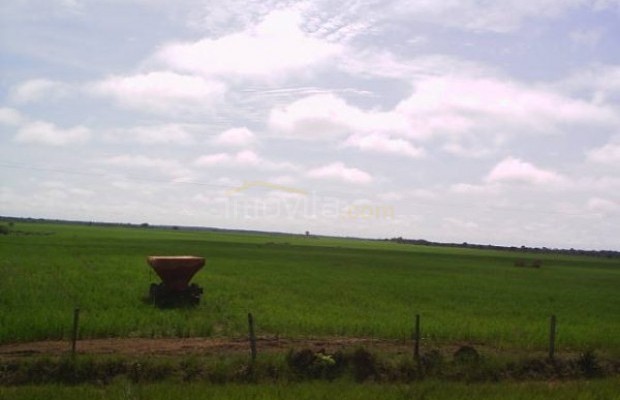 Foto ﾹ8 Fazenda/Sítio Venda em Tocantins, Vale do Rio Formoso, Vale do Rio Formoso