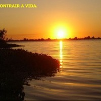 Ver anúncio COD ref#1371