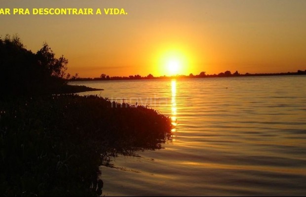 Foto ﾹ10 Fazenda/Sítio Venda em Tocantins, Vale do Rio Formoso, Vale do Rio Formoso