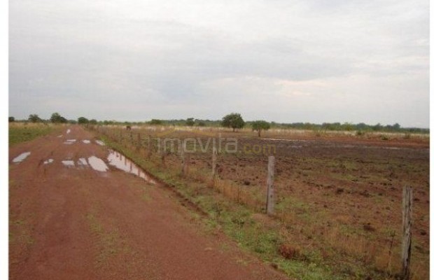 Foto ﾹ12 Fazenda/Sítio Venda em Tocantins, Vale do Rio Formoso, Vale do Rio Formoso