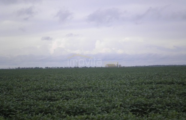 Foto ﾹ16 Fazenda/Sítio Venda em Tocantins, Vale do Rio Formoso, Vale do Rio Formoso