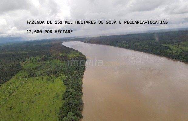 Foto ﾹ19 Fazenda/Sítio Venda em Tocantins, Vale do Rio Formoso, Vale do Rio Formoso