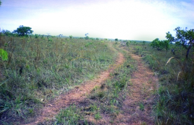 Foto ﾹ2 Fazenda/Sítio Venda em Mato Grosso, Nova Brasilandia, Nova Brasilandia