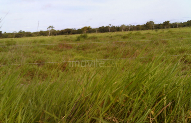 Foto ﾹ3 Fazenda/Sítio Venda em Mato Grosso, Nova Brasilandia, Nova Brasilandia