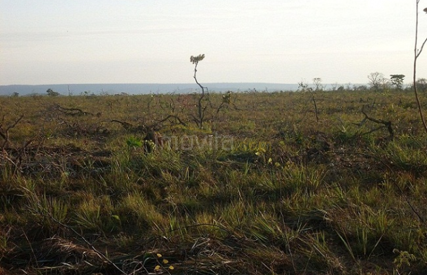 Foto ﾹ4 Fazenda/Sítio Venda em Mato Grosso, Nova Brasilandia, Nova Brasilandia