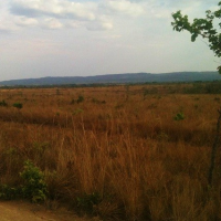 Ver anúncio COD ref#1372