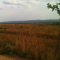 Foto ﾹ6 Fazenda/Sítio Venda em Mato Grosso, Nova Brasilandia, Nova Brasilandia