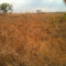 Foto ﾹ7 Fazenda/Sítio Venda em Mato Grosso, Nova Brasilandia, Nova Brasilandia