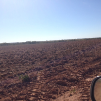 Ver anúncio COD ref#1372