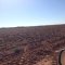 Foto ﾹ8 Fazenda/Sítio Venda em Mato Grosso, Nova Brasilandia, Nova Brasilandia