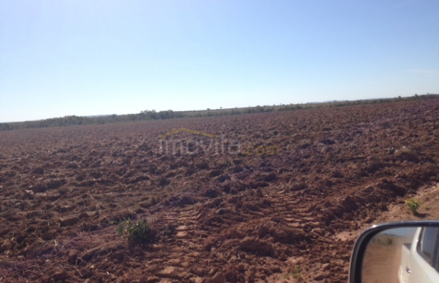 Foto ﾹ8 Fazenda/Sítio Venda em Mato Grosso, Nova Brasilandia, Nova Brasilandia