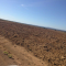 Foto ﾹ9 Fazenda/Sítio Venda em Mato Grosso, Nova Brasilandia, Nova Brasilandia