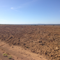 Ver anúncio COD ref#1372