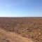 Foto ﾹ10 Fazenda/Sítio Venda em Mato Grosso, Nova Brasilandia, Nova Brasilandia