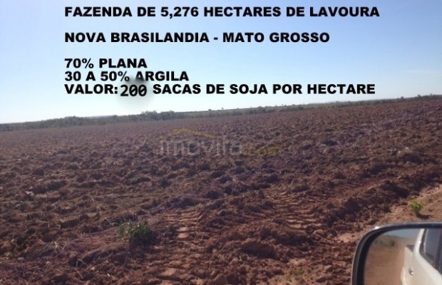 Foto ﾹ11 Fazenda/Sítio Venda em Mato Grosso, Nova Brasilandia, Nova Brasilandia