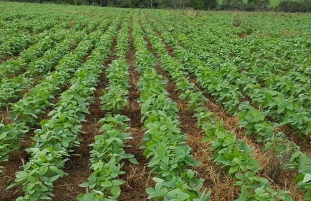 Foto ﾹ2 Fazenda/Sítio Venda em Mato Grosso, Paranatinga, Paranatinga