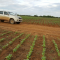 Foto ﾹ3 Fazenda/Sítio Venda em Mato Grosso, Paranatinga, Paranatinga