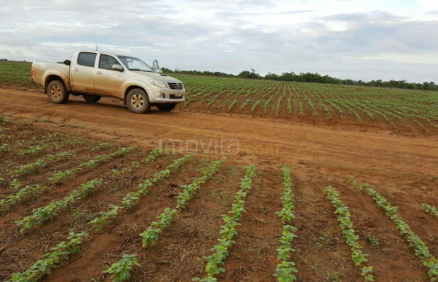 Foto ﾹ3 Fazenda/Sítio Venda em Mato Grosso, Paranatinga, Paranatinga
