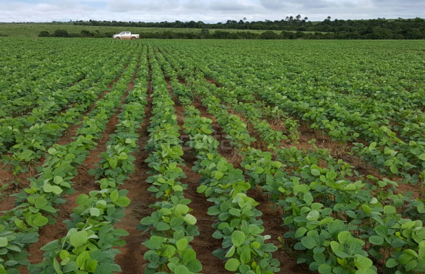 Foto ﾹ1 Fazenda/Sítio Venda em Mato Grosso, Paranatinga, Paranatinga