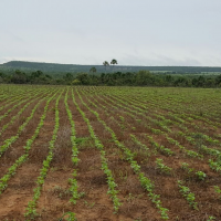 Ver anúncio COD ref#1374