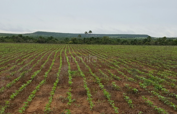 Foto ﾹ5 Fazenda/Sítio Venda em Mato Grosso, Paranatinga, Paranatinga