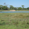 Foto ﾹ3 Fazenda/Sítio Venda em Mato Grosso, Barão de Melgaço, Barão de Melgaço