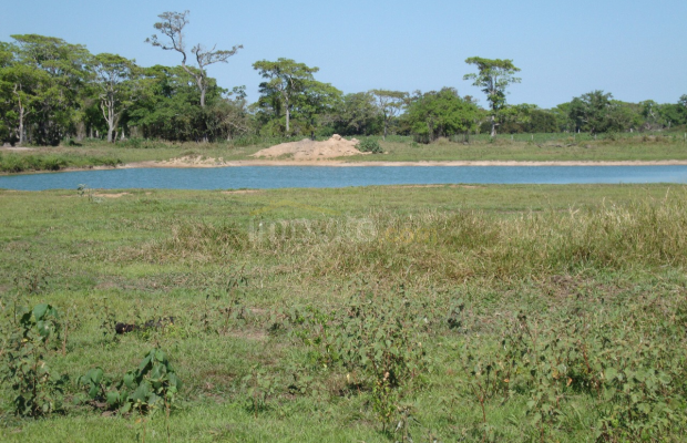 Foto ﾹ3 Fazenda/Sítio Venda em Mato Grosso, Barão de Melgaço, Barão de Melgaço