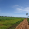 Foto ﾹ5 Fazenda/Sítio Venda em Mato Grosso, Barão de Melgaço, Barão de Melgaço