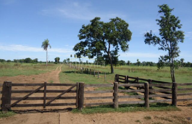 Foto ﾹ6 Fazenda/Sítio Venda em Mato Grosso, Barão de Melgaço, Barão de Melgaço
