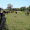 Foto ﾹ7 Fazenda/Sítio Venda em Mato Grosso, Barão de Melgaço, Barão de Melgaço
