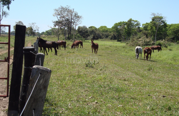 Foto ﾹ7 Fazenda/Sítio Venda em Mato Grosso, Barão de Melgaço, Barão de Melgaço