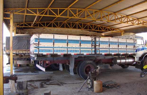 Foto ﾹ9 Fazenda/Sítio Venda em Mato Grosso, Barão de Melgaço, Barão de Melgaço