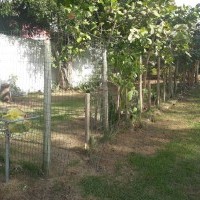 Ver anúncio COD ref#1394