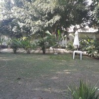 Ver anúncio COD ref#1394