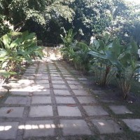 Ver anúncio COD ref#1394