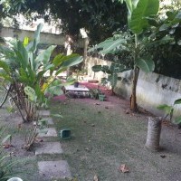 Ver anúncio COD ref#1394