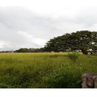 Ver anúncio COD ref#1411