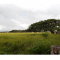 Foto ﾹ1 Fazenda/Sítio Venda em Mato Grosso, Cocalinho, Cocalinho