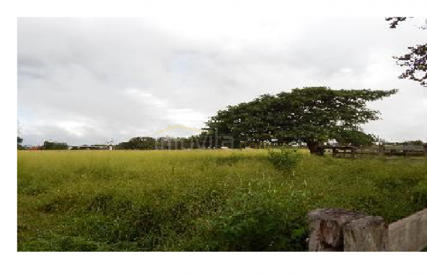 Foto ﾹ1 Fazenda/Sítio Venda em Mato Grosso, Cocalinho, Cocalinho